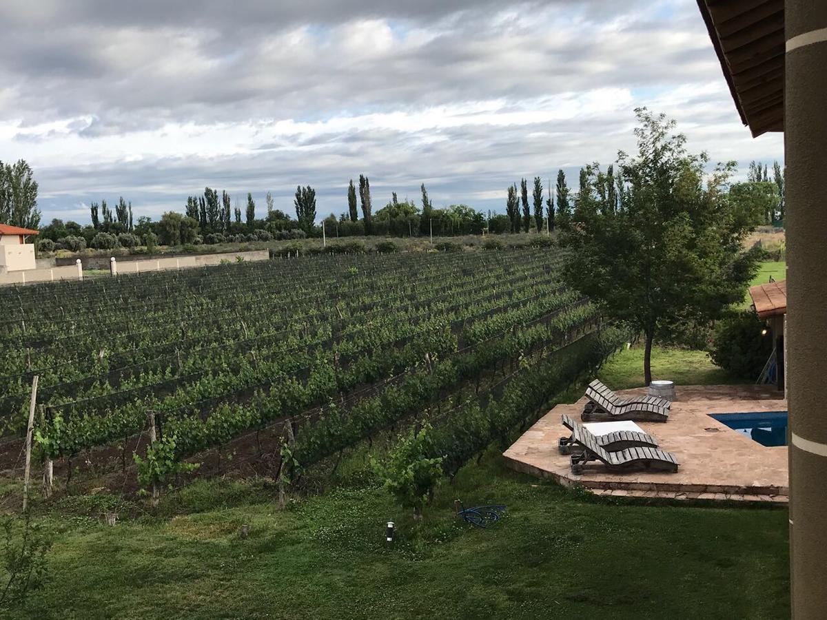 Chaglasian Wine & Suites San Rafael (Mendoza) Exterior foto